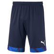 Puma Cup GK Shorts de gardien de but de soccer - Peacoat