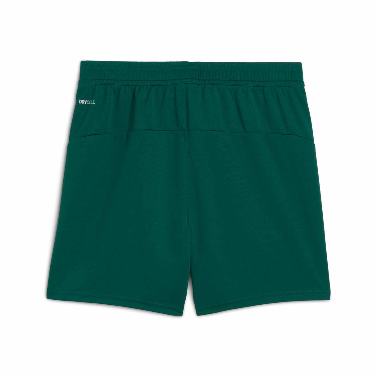 Puma Portugal FPF Shorts for kids - Blessing Green / Sugared Almond