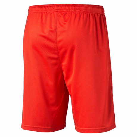 Short de soccer PUMA training soccer short Soccer Sport Fitness