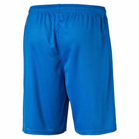 Short de soccer PUMA training soccer short Soccer Sport Fitness