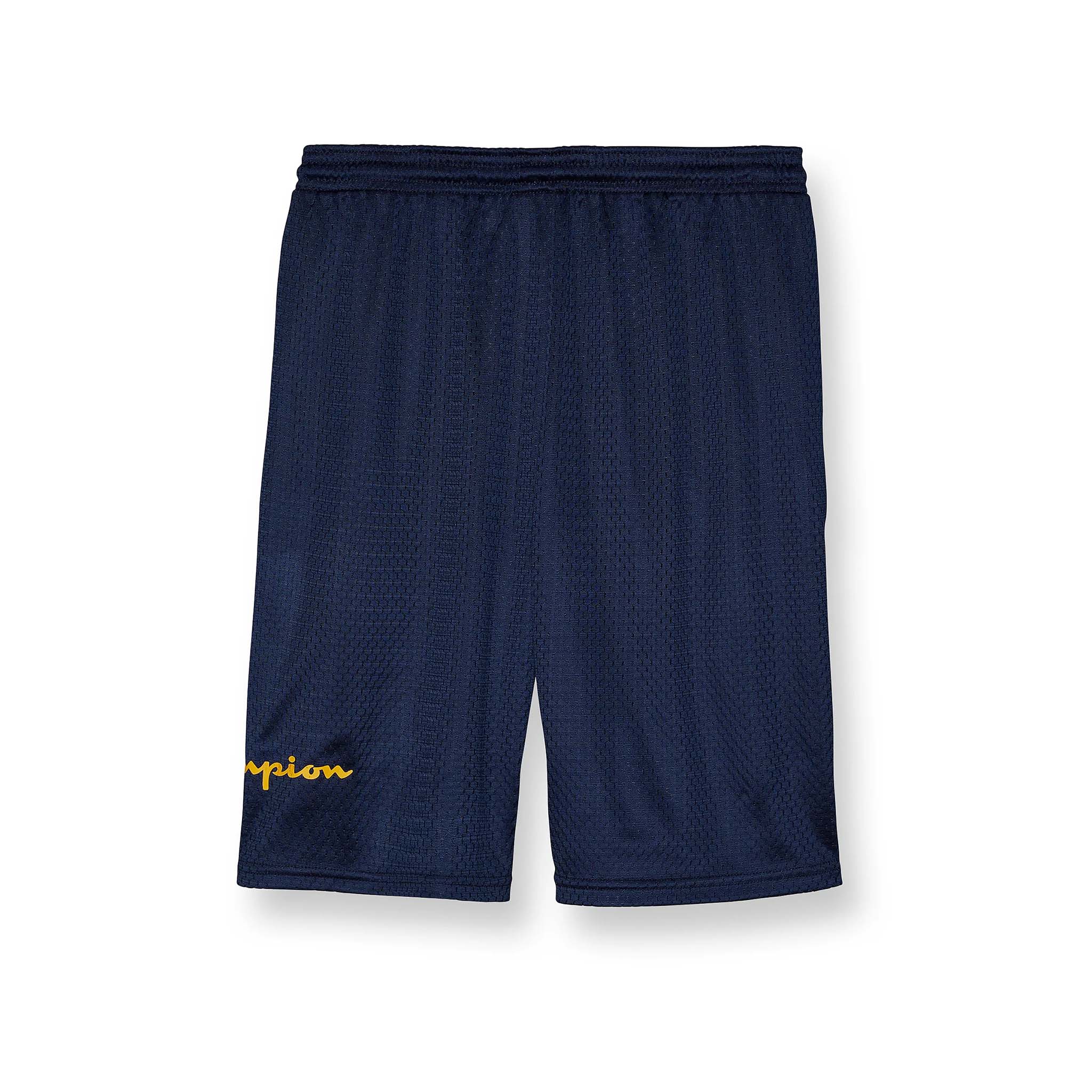 Champion mesh hotsell shorts 6 inseam